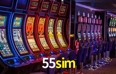Experiência VIP 55sim